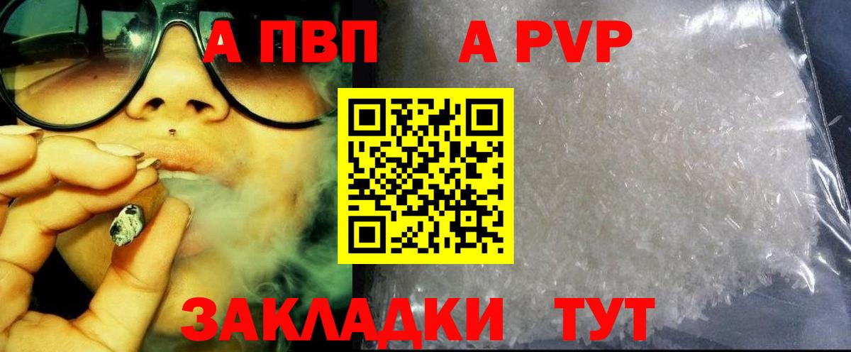 Alfa_PVP СК Балтийск