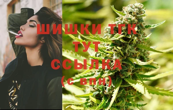 гидра Балахна