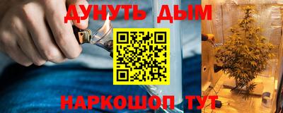 дурь Сланцы