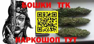дурь Сланцы