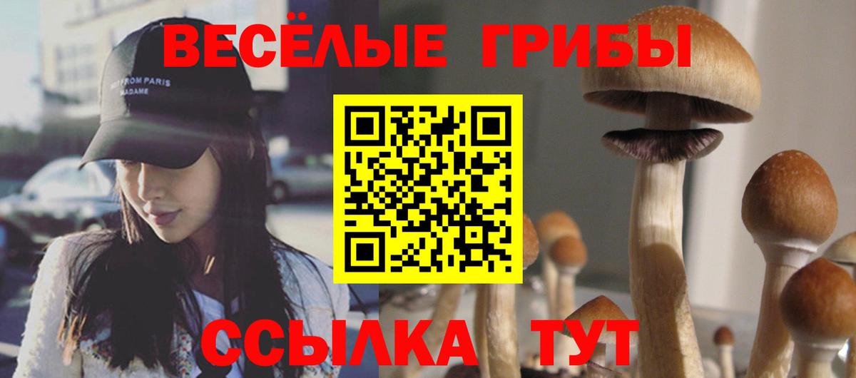 Галлюциногенные грибы мицелий Балтийск
